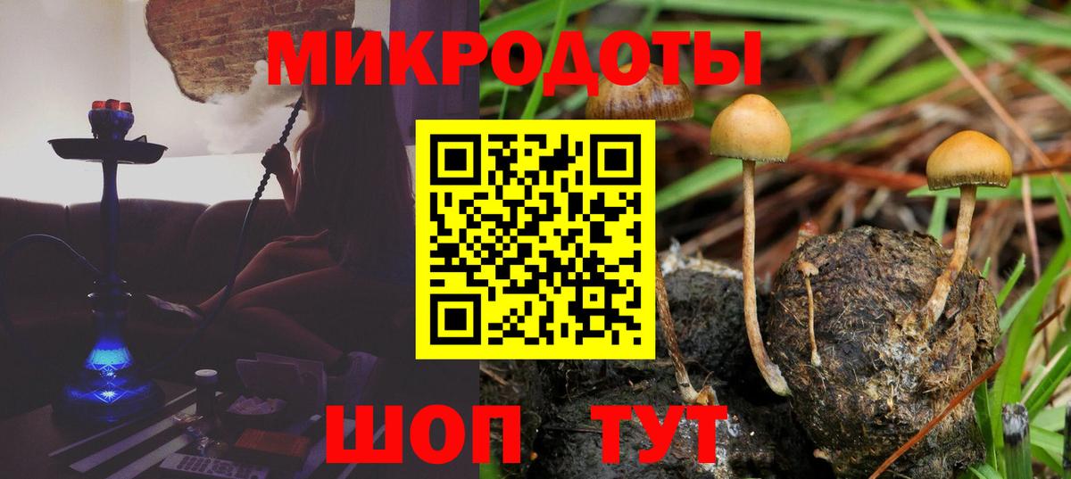 Артём  дарнет шоп  Вход с VPN  Галлюциногенные грибы Cubensis 