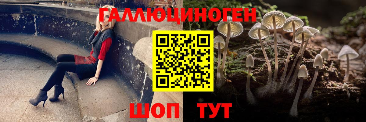 Псилоцибиновые грибы MAGIC MUSHROOMS Артём